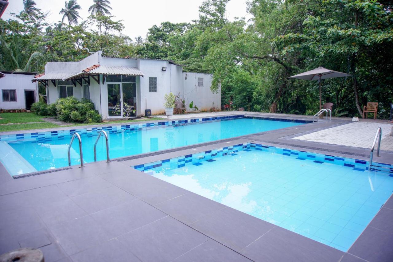 Blue Fox Hikkaduwa Hotel Bagian luar foto